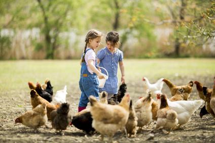 Bauernhof-Erlebnisse