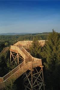 Baumkronenweg Kopfing