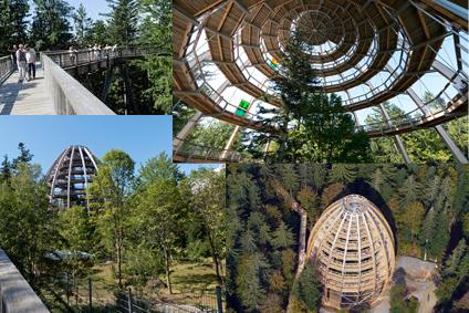 Spiel & Spaß - Baumwipfelpfad Neuschönau ©Die Erlebnis AKADEMIE AG