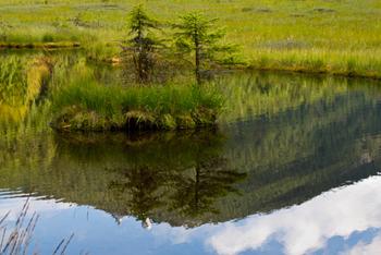 Tiere & Natur - Pfahl-Infostelle Viechtach