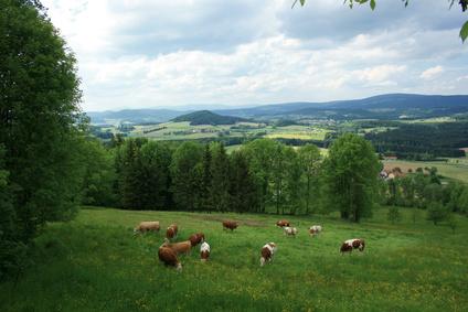 weitere Städte und Ortschaften