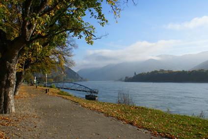 Radfahren - Donau Radweg