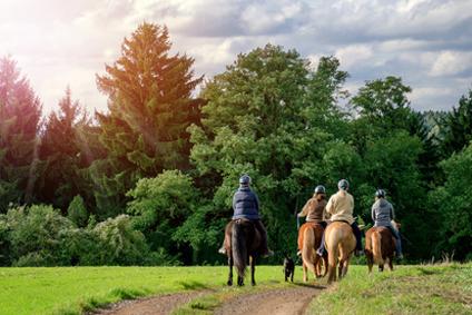 Reitmöglichkeit auf Ferienhöfen