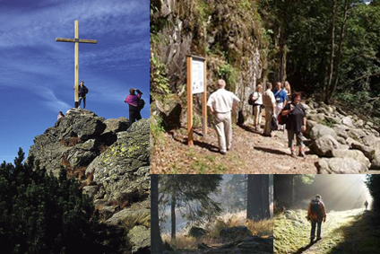 Wandern im Bayerischen Wald - Arber - Buchberger Leite