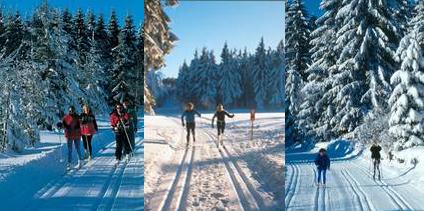 Langlaufen im Bayerischen Wald