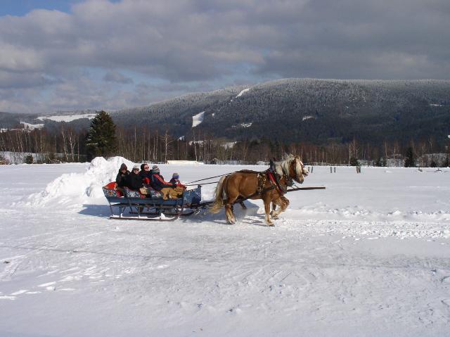 Pferdeschlittenfahrt