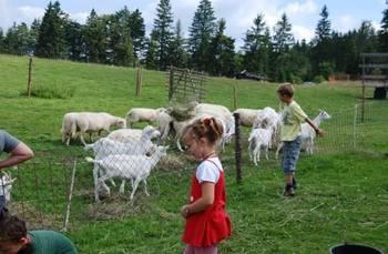 KulturLandschaftsMuseum Grenzerfahrung Haidmühle