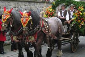 weitere Feste & Märkte