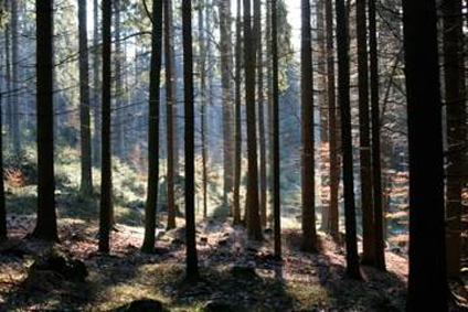 Bauernhof Erlebnisse